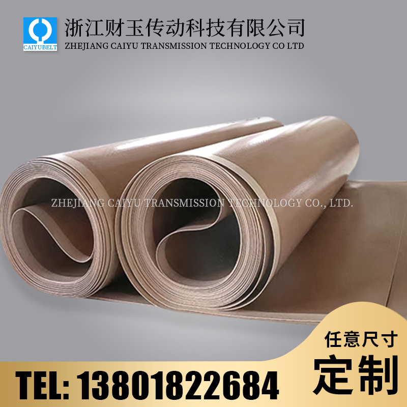 浙江財(cái)玉傳動(dòng)科技有限公司/CAIYUBELT/特氟龍輸送皮帶
