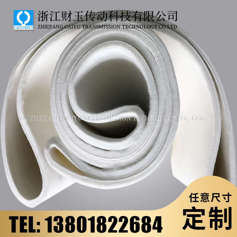 浙江財(cái)玉傳動科技有限公司/CAIYUBELT/毛氈輸送帶