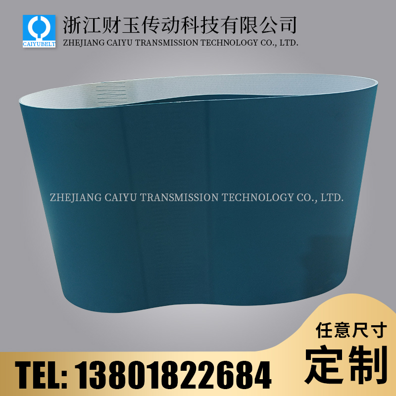 浙江財(cái)玉傳動(dòng)科技有限公司/CAIYUBELT/PVC輸送帶